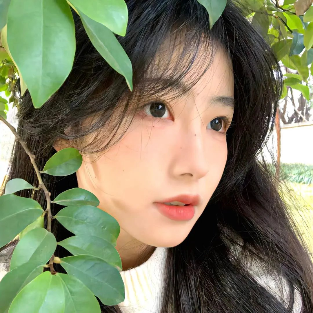 带我飞向月球